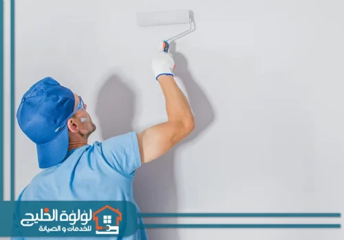 انواع الصباغة على الجدران في أبوظبي